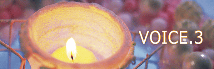 VOICE.3
