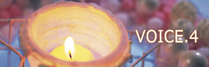 VOICE.3